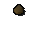Yew seed