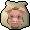 Pack pig pouch