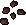 Pineapple seed