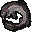 Raw cave moray