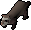 Ferret