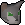 Pet kitten