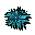 Medium crystal urchin