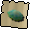 Green blubber jellyfish
