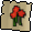 Nasturtiums