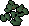 Damiana leaves
