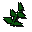 Equa leaves