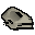 Cave Wolf Matriarch skull