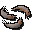 Raw shrimp