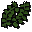 Wet seaweed