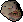 Giant mole's head