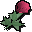 Pretty flower