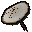 Coconut parasol