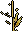 Kelp
