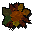 Fallen leaves