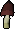 Black mushroom
