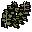 Dry seaweed