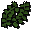 Seaweed