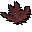 Buckthorn leaf
