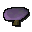 Paraspore