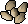 Seeds (interface item)