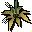 Vine flower