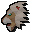 Skypouncer adult