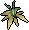 Vine flower