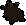 Bearskin rug