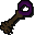 Bronze key purple