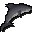 Raw great white shark