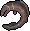 Dusk eel