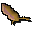 Dead sea slug