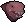 Rex hatchling