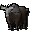 Jack the yak