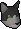 Pet cat