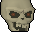A skull