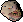 Giant mole's head