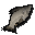 Stone fish