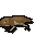 Newt