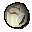Dragon's eye