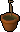Oak sapling