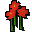 Nasturtiums