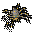 Dr Spider MD